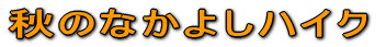 ĤȂ悵nCN